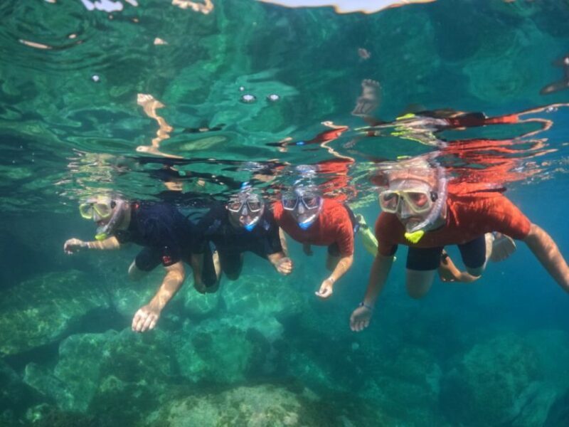 Gran Canaria: Snorkel tour with boat on the west coast - The Experience in Detail