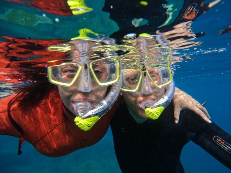 Gran Canaria: Snorkel tour with boat on the west coast - Authentic Insights from Reviews