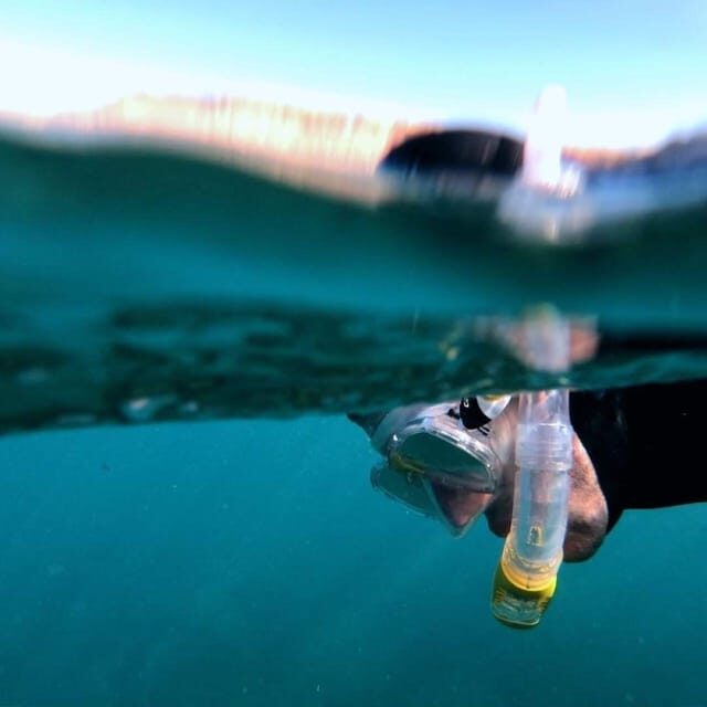 Gran Canaria: Snorkeling Trip - Key Points