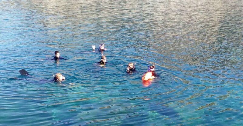 Gran Canaria: Snorkeling Trip - The Itinerary in Detail