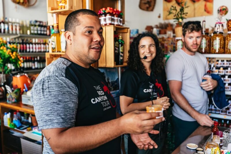 Gran Canaria: The Red Canyon Tour with Local Food Tasting - Who Will Love This Tour?