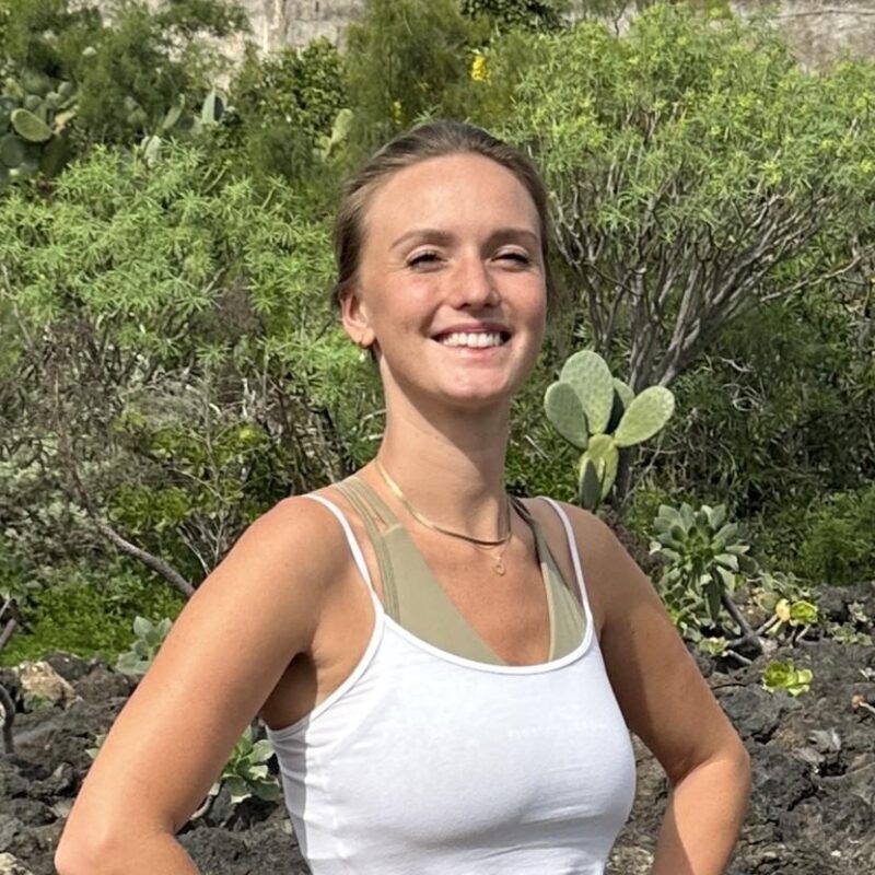 Gran Canaria: Volcano Sunset Tour and Local Food Tasting - Exploring Gran Canaria’s Volcanic Heart