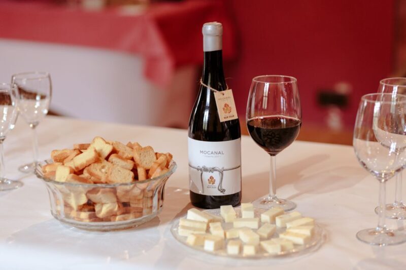 Gran Canaria: Winery Tour, Wine Museum, and Tasting - What Travelers Say: The Heart of the Experience