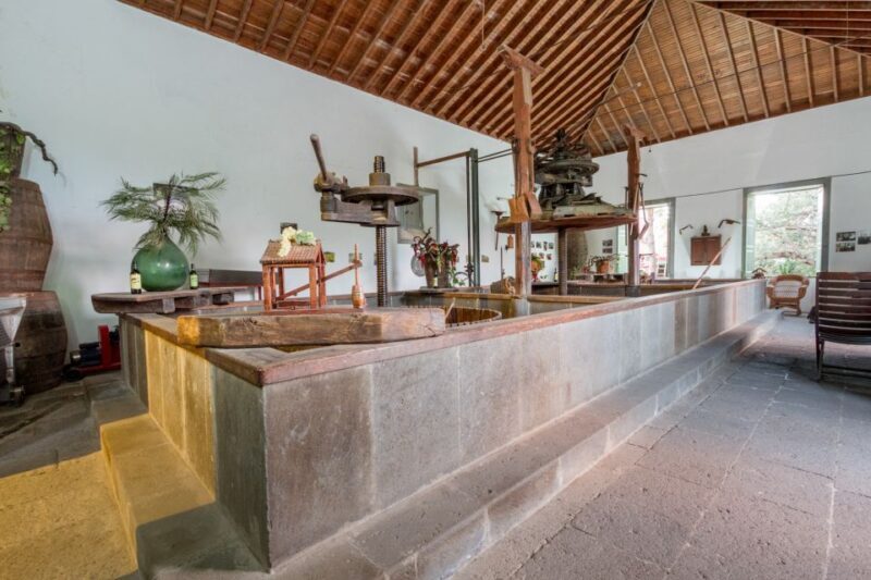 Gran Canaria: Winery Tour, Wine Museum, and Tasting - Final Thoughts: Is It Worth It?