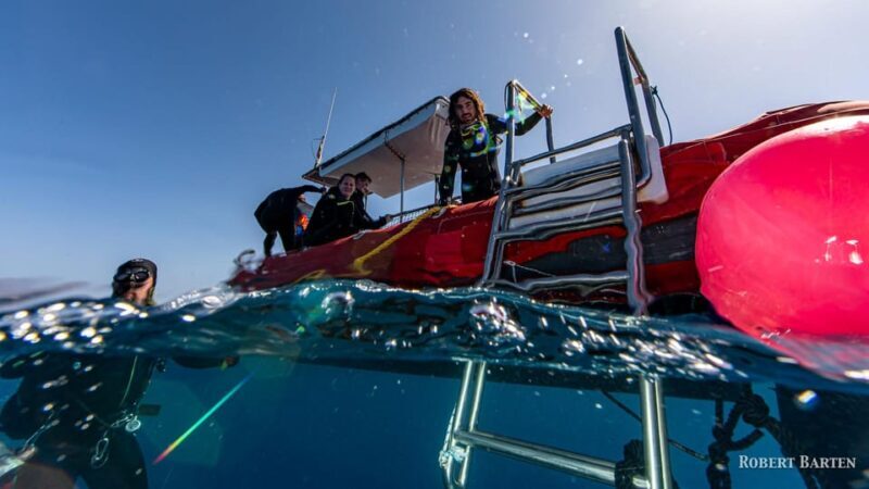 Gran Canaria:Live an Adventure and Learn to Dive with Expert - Pricing and Value