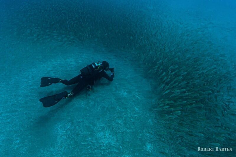 Gran Canaria:Live an Adventure and Learn to Dive with Expert - Who Is This Tour Best Suited For?
