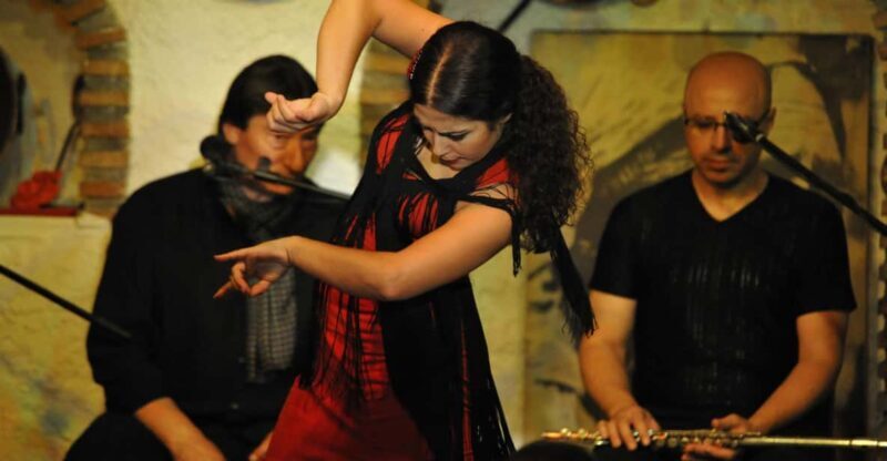 Granada: Alhambra Guided Tour and Flamenco Show - FAQ