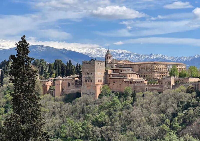 Granada: Arabic Monuments Guided Tour - Discovering Granada’s Muslim Heritage: What to Expect