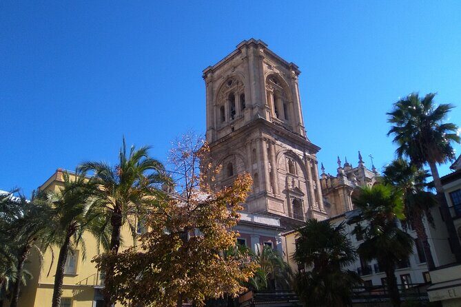 Granada: Cathedral and Royal Chapel Private tour with tickets - An Overview of the Experience