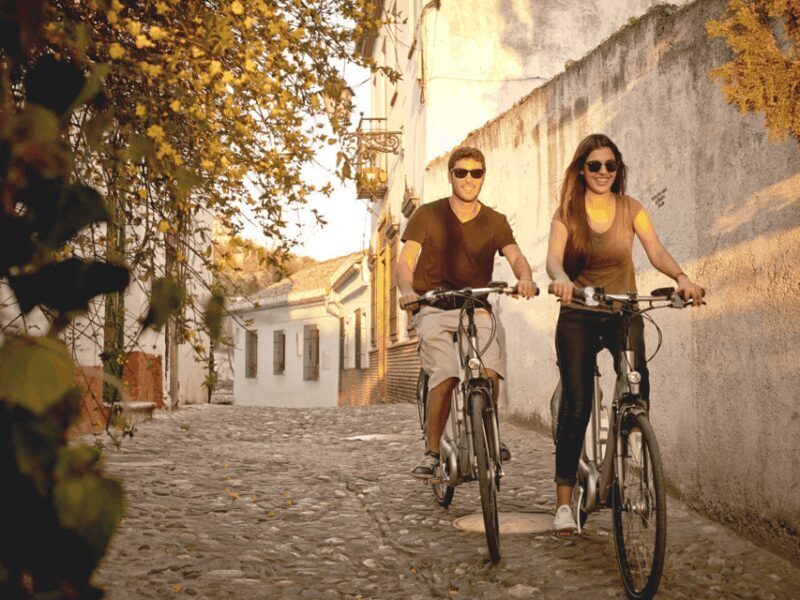 Granada: Electric Bike Tour of Albayzin and Sacromonte - Who Should Consider This Tour?
