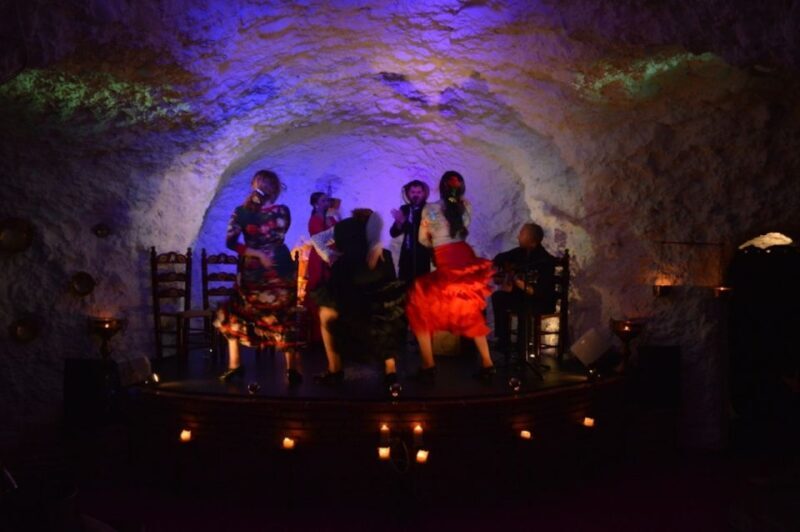 Granada: Flamenco Show at Templo del Flamenco with Drink - Who Should Consider This Experience?