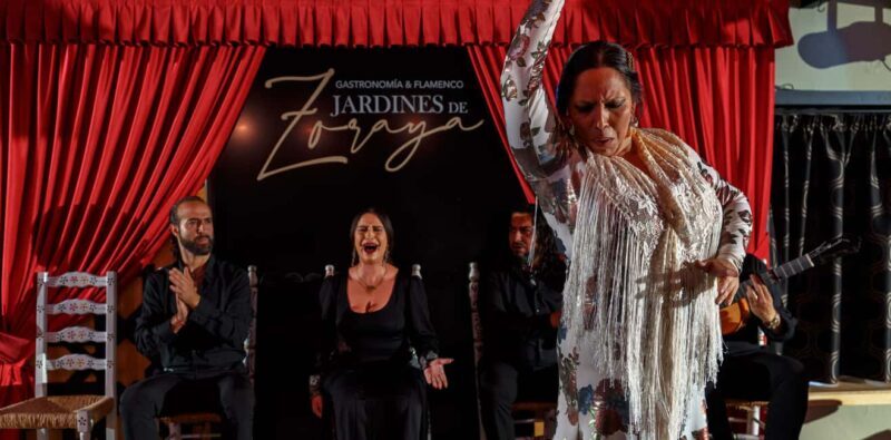 Granada: Flamenco Show in Albayzín - Jardines de Zoraya - Who Will Love This Experience?