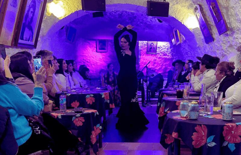 Granada: Flamenco Show in the Cave LA FARAONA - What the Show Entails