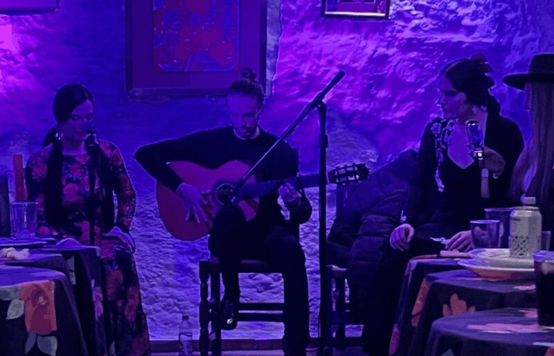 Granada: Flamenco Show in the Cave LA FARAONA - Final Thoughts