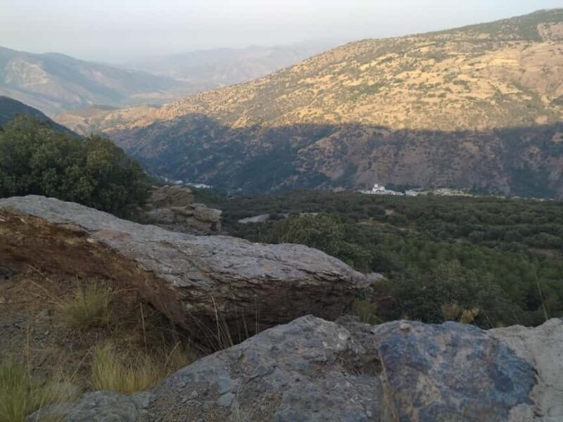 Granada: Full-Day South Tour with Guide - Key Points