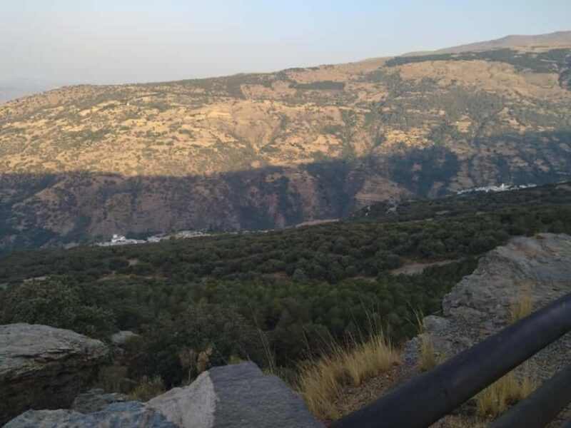 Granada: Full-Day South Tour with Guide - Exploring the Full-Day South Tour in Depth