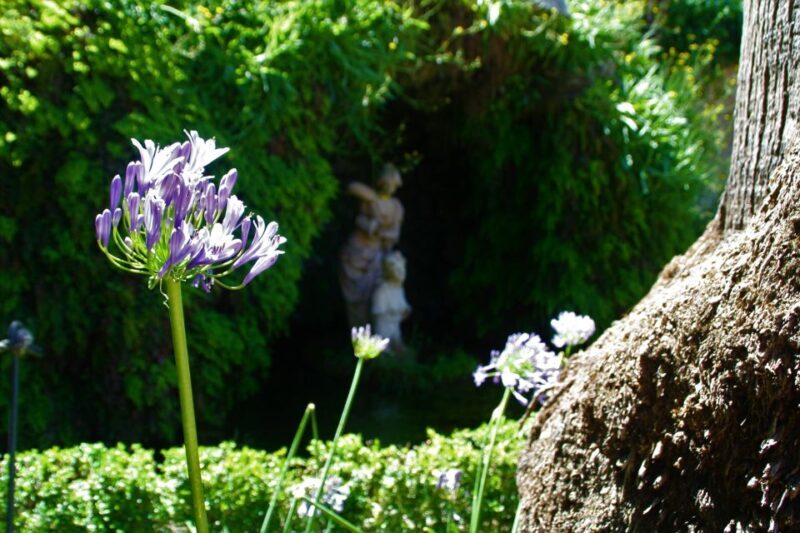 Granada: Gardens of Carmenes Guided Tour - Key Points