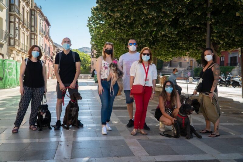 Granada: Guided Albaicín Visit with Pets - Key Points