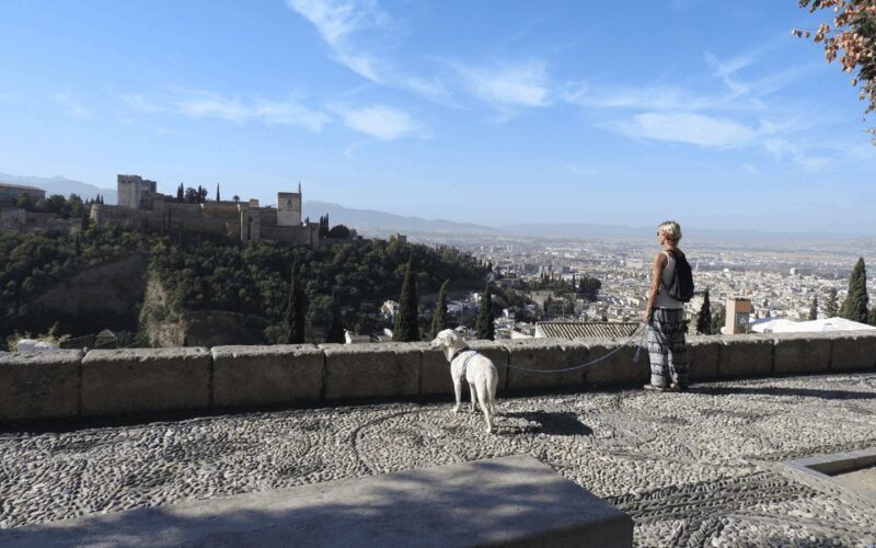 Granada: Guided Albaicín Visit with Pets - Who Should Book This Tour?