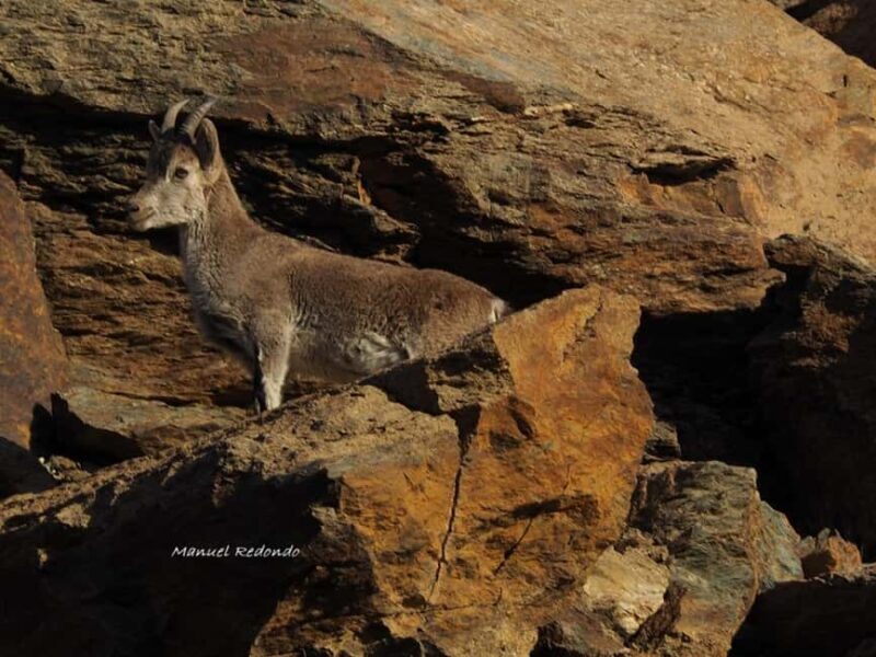 Granada: Guided Hiking Tour - An Overview of the Granada Guided Hiking Tour