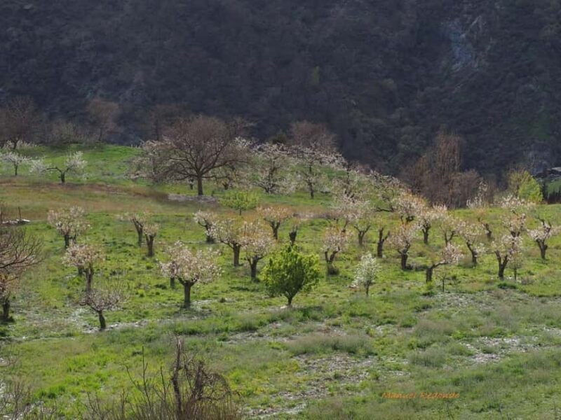 Granada: Guided Hiking Tour - The Experience in Detail