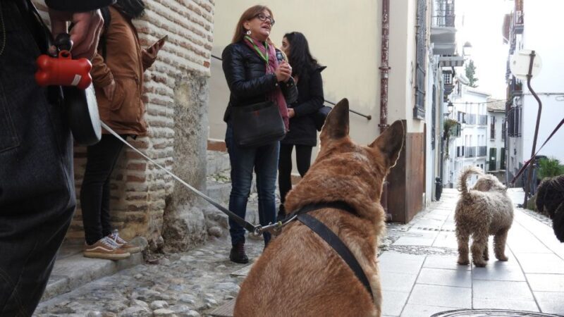 Granada: Guided Realejo Tour with Pets - Key Points