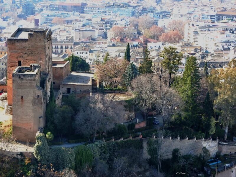 Granada: Guided Realejo Tour with Pets - FAQ
