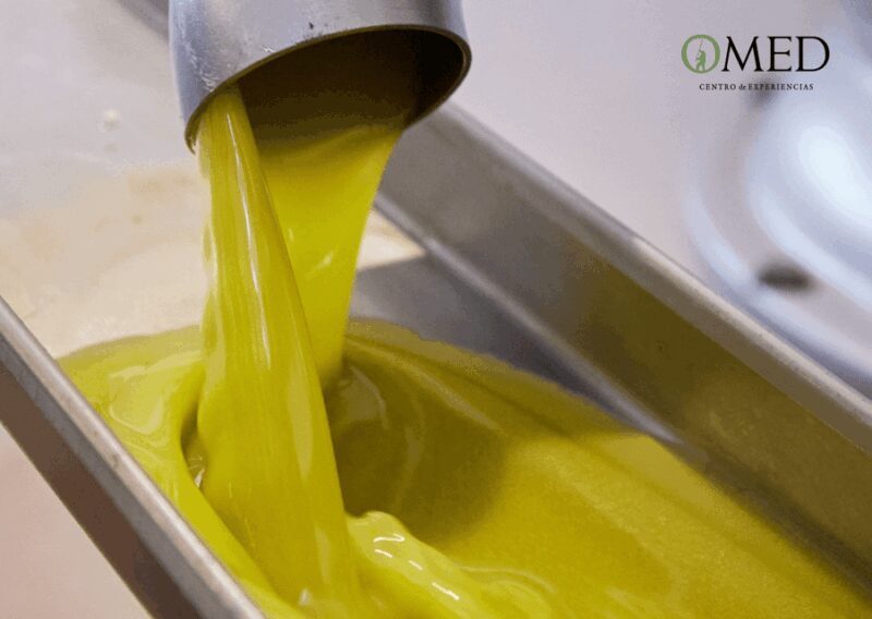 Granada in EVOO: Authentic guided tour, tasting and tapas - The Sum Up