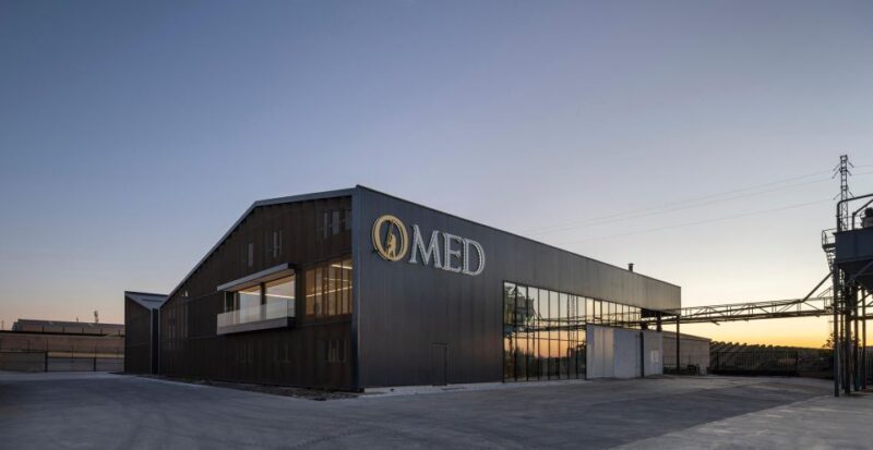 Granada in EVOO: Become a real olive harvester for a day - The Scenic Element