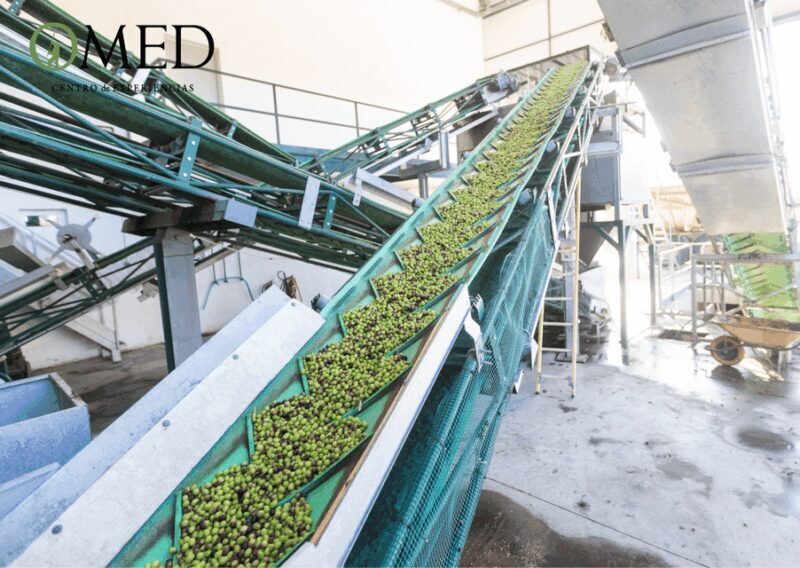 Granada in EVOO: Become a real olive harvester for a day - FAQ