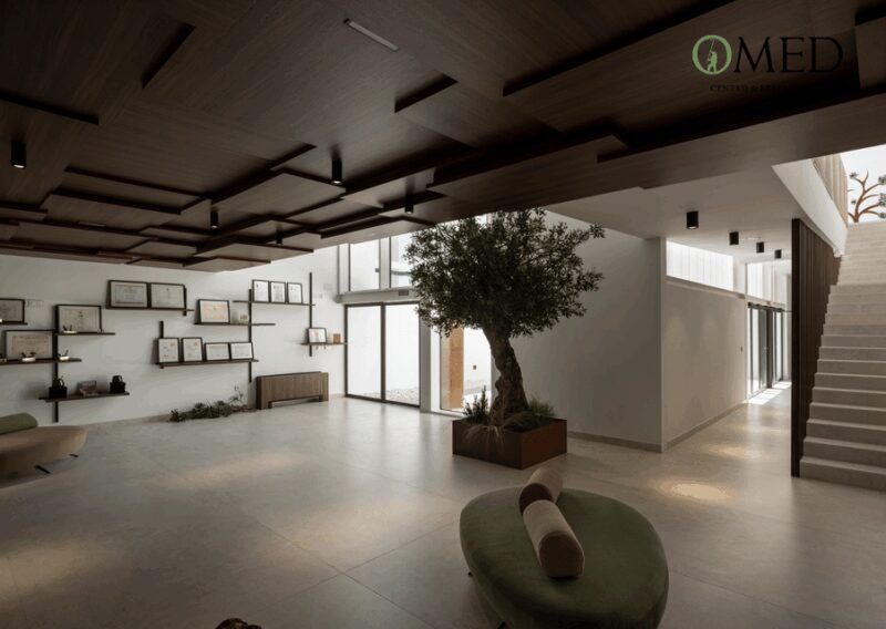 Granada in EVOO: Guided tour and unique sensorial tasting - Key Points