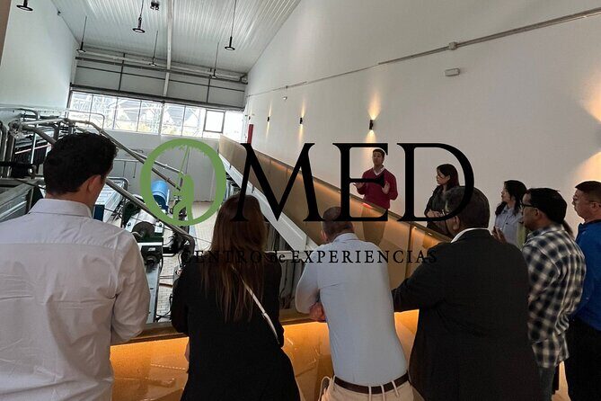 Granada in EVOO: Guided tour and unique sensorial tasting - Granada in EVOO: Guided Tour and Unique Sensorial Tasting — A Deep Dive into Spain’s Olive Oil Heritage