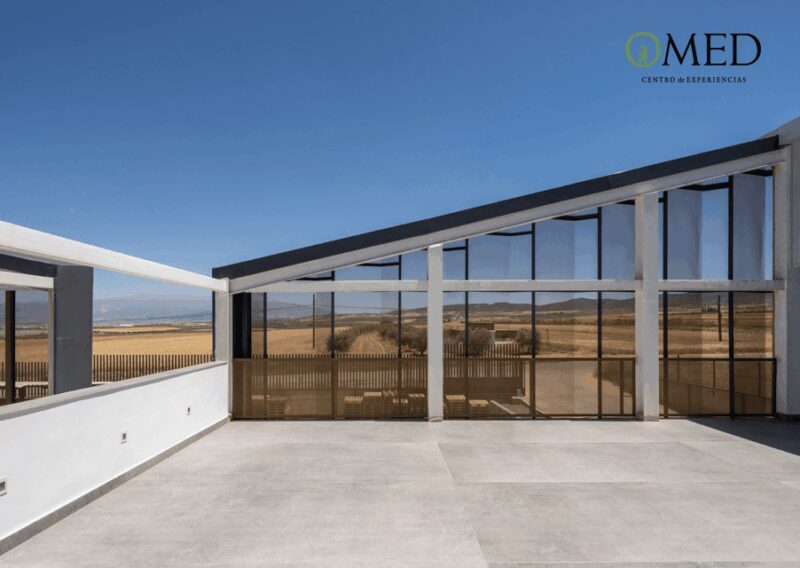 Granada in EVOO: Picnic among olive trees and unique views - The Value of This Tour