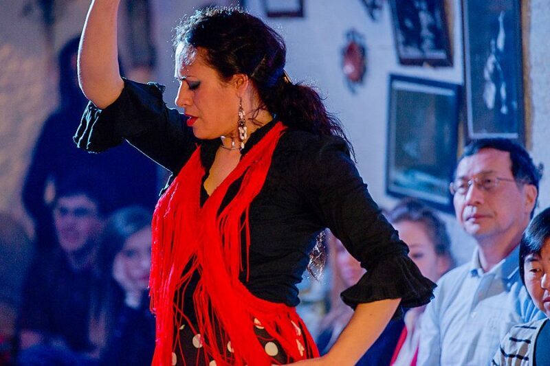 Granada: Sacromonte Caves Flamenco Show with Dinner - An In-Depth Look at the Sacromonte Flamenco Experience