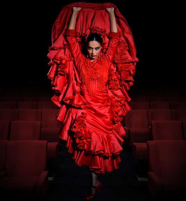 Granada: 'Sensations' Flamenco Show at the Granada Flamenco Theater - Practical Details & Tips for Visitors