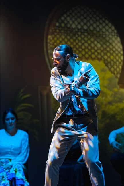 Granada: 'Sensations' Flamenco Show at the Granada Flamenco Theater - Final Thoughts