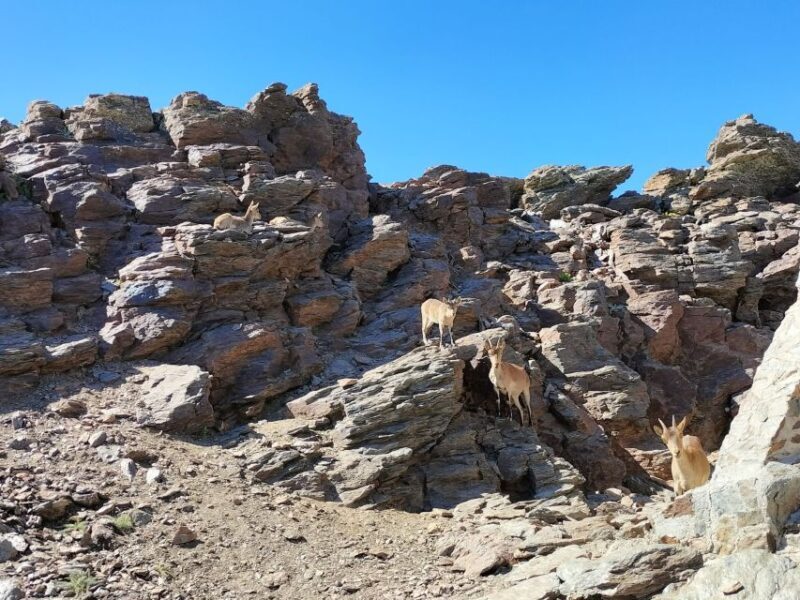 Granada: Sierra Nevada Guided Day Trip - The Experience for Different Travelers