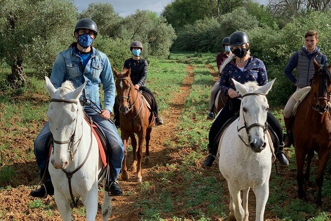 Granada & Sierra Nevada Horse Riding Tour - Who Will Love This Tour?