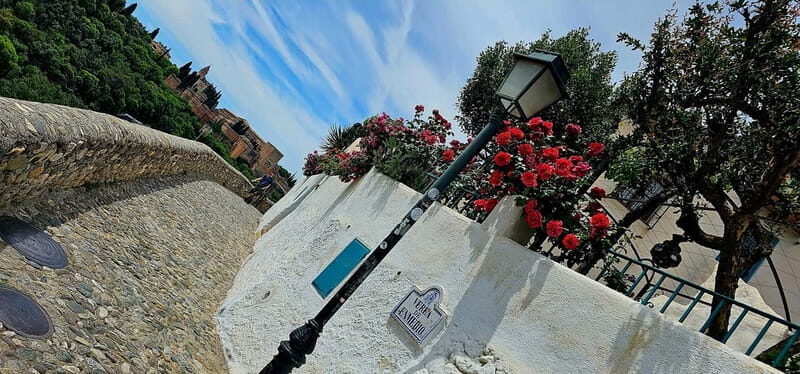 Granada: "Street Art & The Caves" Unique Guided Walking Tour - What to Expect from Your Granada Street Art & Caves Tour