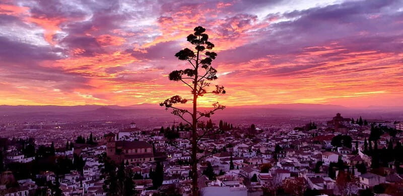 Granada: "Street Art & The Caves" Unique Guided Walking Tour - FAQ