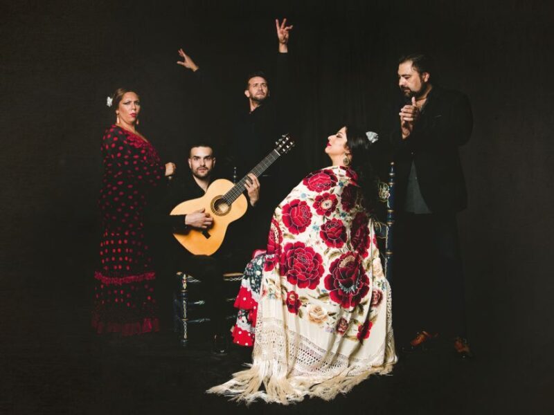 Granada: Traditional Flamenco Show at Tablao Casa Ana - What to Expect at Casa Ana’s Flamenco Show