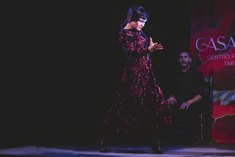 Granada: Traditional Flamenco Show at Tablao Casa Ana - The Sum Up: Who Is This Flamenco Show Perfect For?