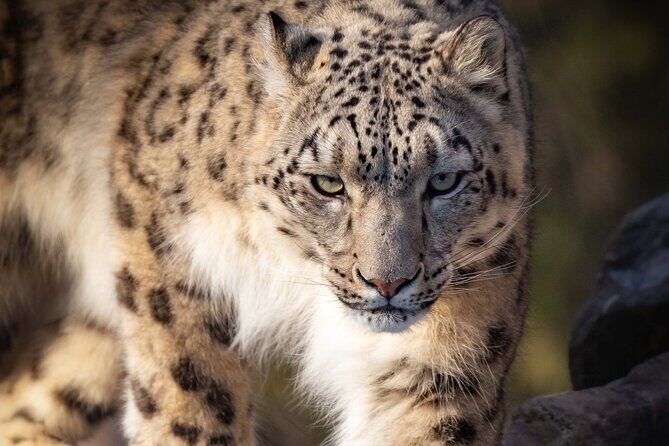 Granby Zoo 1 Day - Final Thoughts