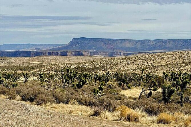 Grand Canyon Glamping & Helicopter Tour by Luxury Car - Analyzing the Value