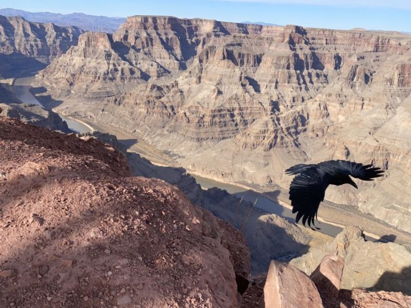 Grand Canyon & Hoover Dam: Private Tour from Las Vegas - Final Thoughts
