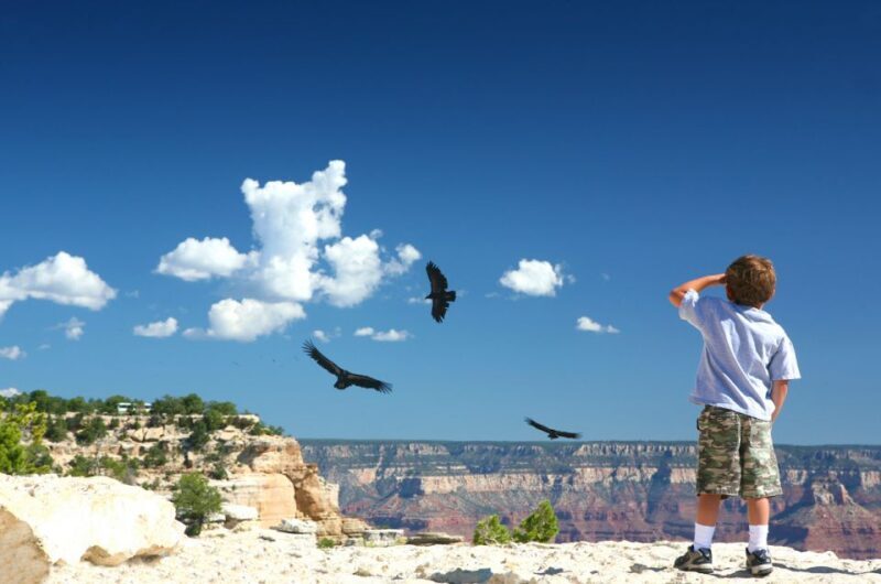 Grand Canyon: Morning Off-Road Safari with Skip the Gate - An In-Depth Look at the Experience