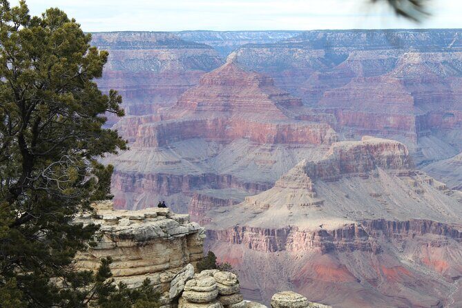 Grand Canyon National Park South Rim Bus Tour from Kingman - The Practicalities: What to Know