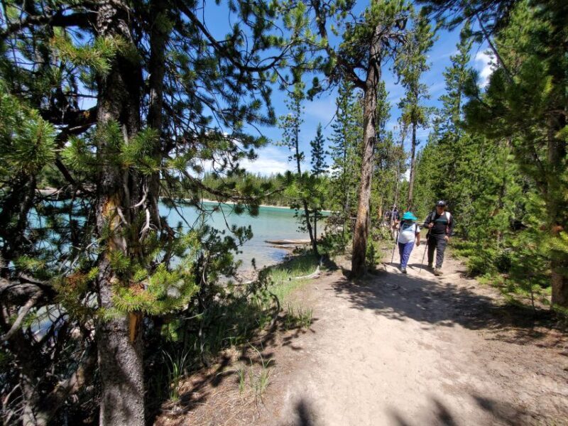 Grand Canyon of the Yellowstone: Loop Hike with Lunch - FAQs