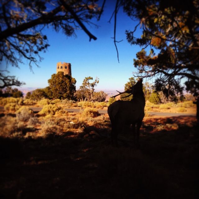 Grand Canyon: Sunset Tour from Biblical Creation Perspective - Who Would Love This Tour?