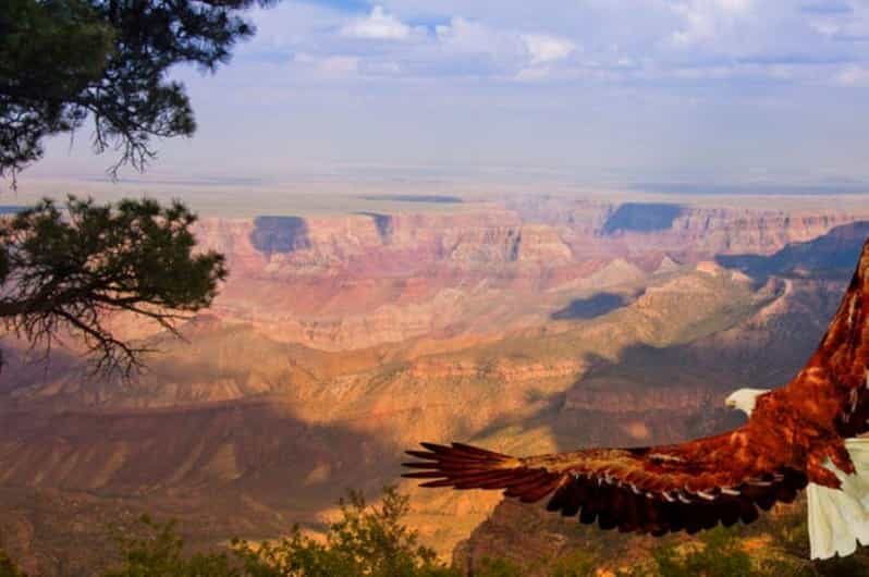 Grand Canyon West: 1-Day Entrance Ticket - Who Will Love This Tour?